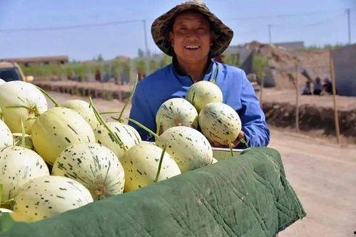 吃瓜群众代盐人,揭秘当代年轻人的“虚拟生活”