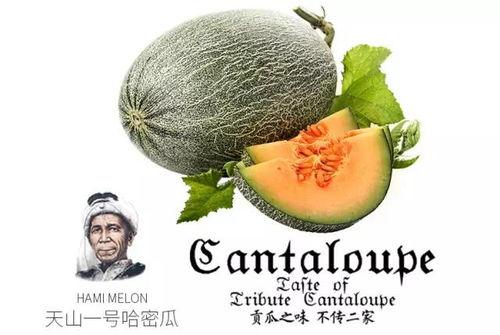 吃瓜群众是社群,揭秘网络社群中的围观力量