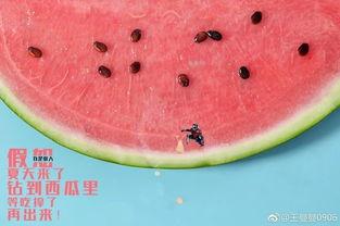 吃瓜群众的最高境界是啥,品鉴瓜界风云，洞察人间百态