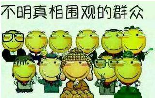 吃瓜群众谁认证了