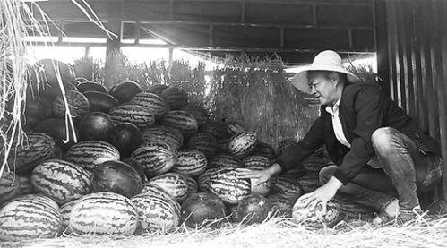 盘点吃瓜群众翻车场面,一场场尴尬的“瓜界”事故