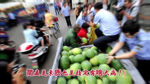 河南第一吃瓜群众,揭秘吃瓜界的风云人物