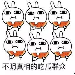 日韩吃瓜群众,娱乐圈最新瓜料,揭秘明星幕后故事