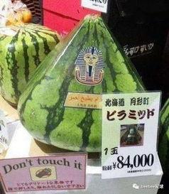 世界上最火的吃瓜群众,揭秘吃瓜群众的疯狂世界