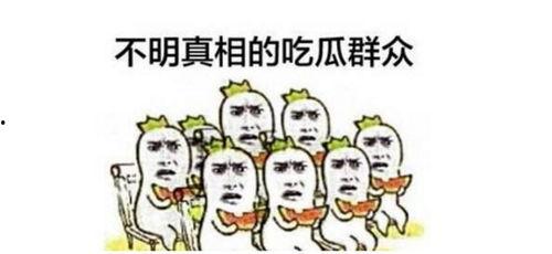 阿衰吃瓜群众是第几集
