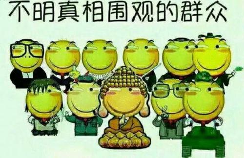 吃瓜群众干部模型机,揭秘新时代干部选拔与培养新趋势