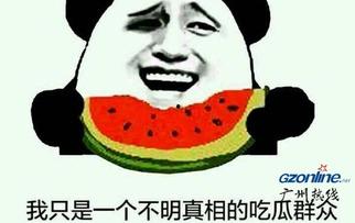 吃瓜群众的主题是什么呢,网络时代下的围观文化现象