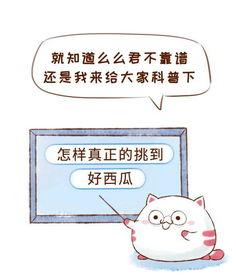 不做吃瓜群众文字,不做吃瓜群众的自我觉醒