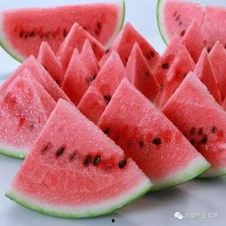 吃瓜群众什么操作最好呢,轻松围观，智慧点评