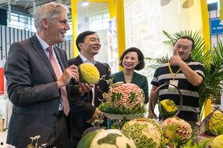 吃瓜群众南京,吃瓜群众眼中的城市风云录