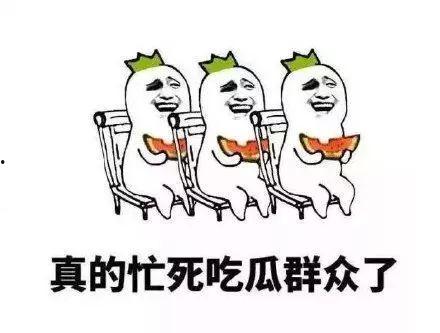 七十年代吃瓜群众的修养txt