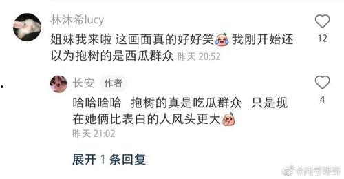 吃瓜群众评价明星的句子,明星评价背后的真相与争议