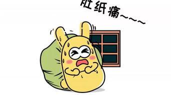 吃瓜群众老板,瓜田里的商业奇才