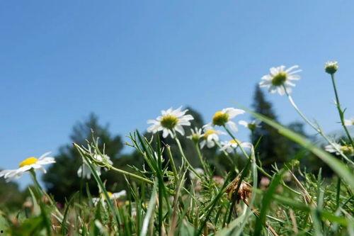 理智思考的吃瓜群众