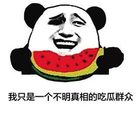 带吃瓜群众网名,揭秘网络世界的趣味与真相