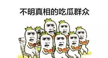 不让吃瓜群众,揭秘“吃瓜群众”背后的真相与影响