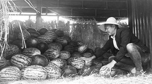 邢台吃瓜群众事件视频最新,网络热议背后的真相与反思