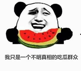 分手后吃瓜群众视频,揭秘吃瓜群众视角下的情感纠葛